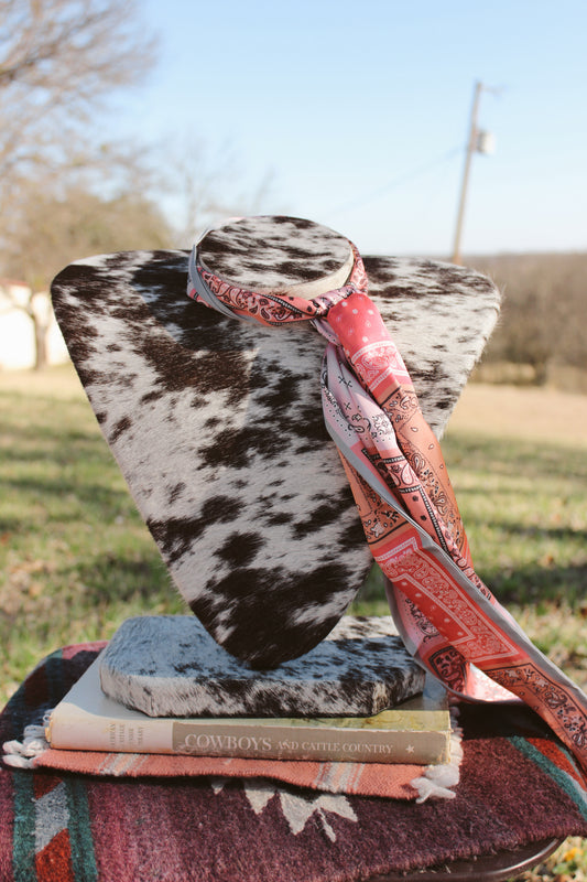 The Pink Paisley Twilly