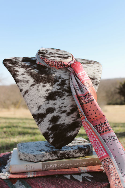 The Pink Paisley Twilly