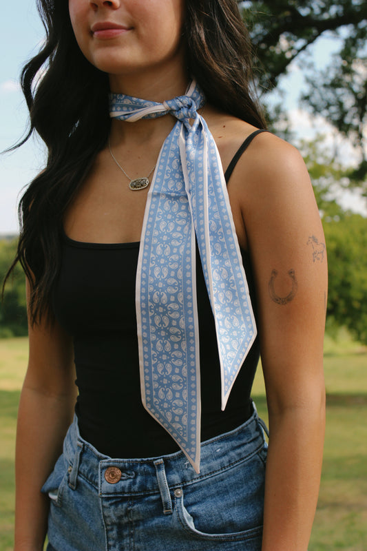 The Sky Blue Paisley Twilly