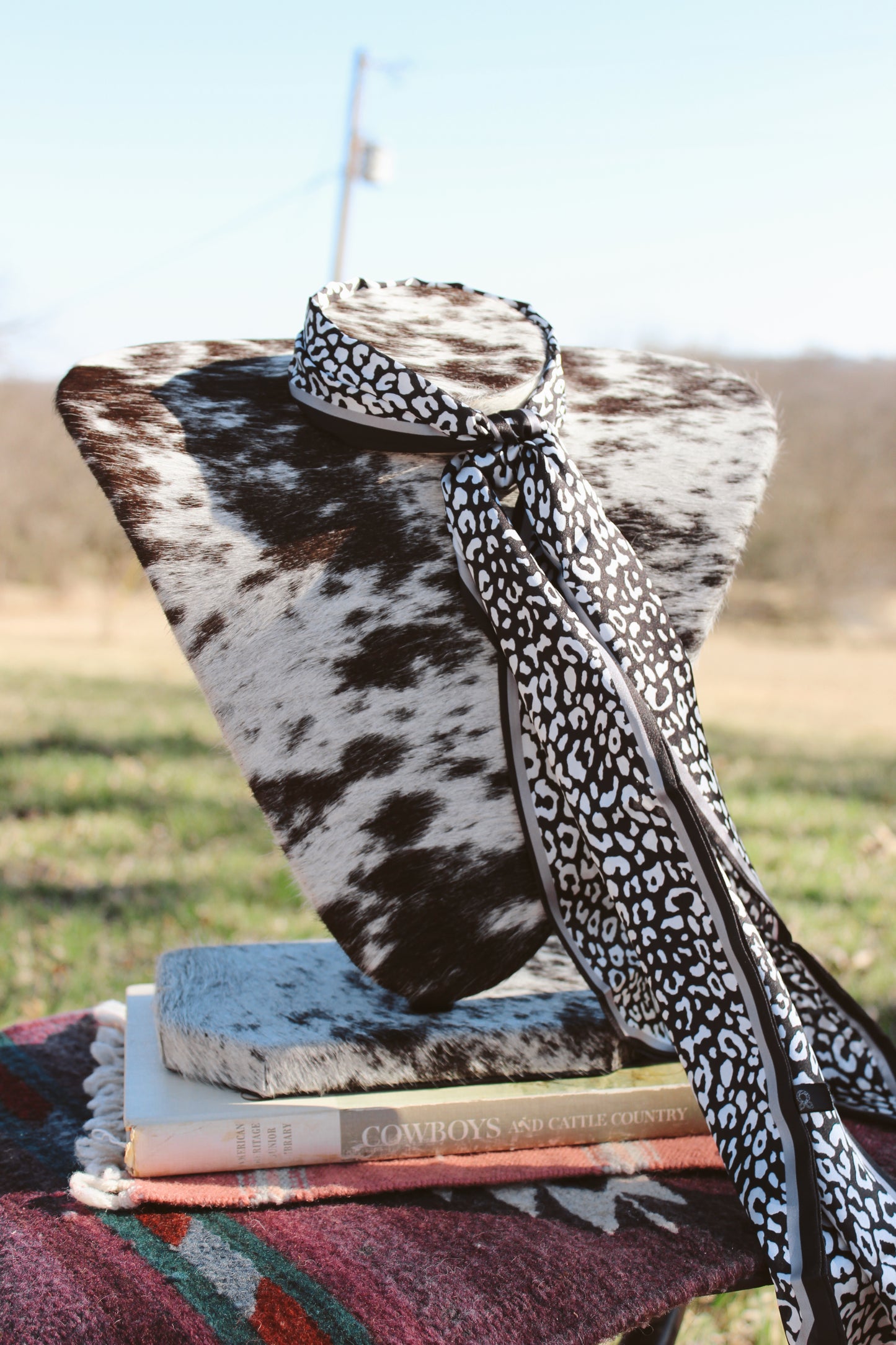 The Black Cheetah Twilly